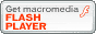 Get Adobe Flash player