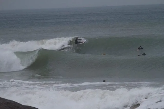 surf-4-8402120